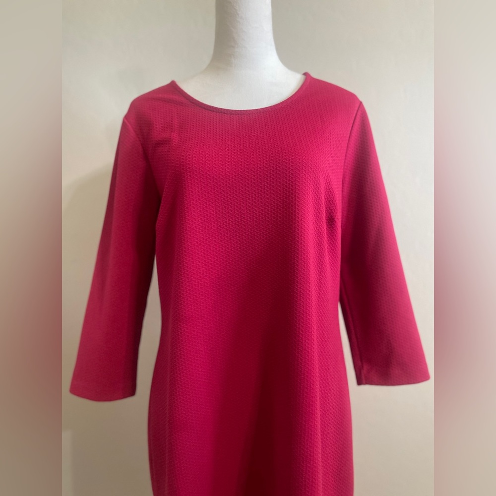 COPY - Daisy Fuentes Babrbiecore 3/4 Sleeve Fuchsia Dress L